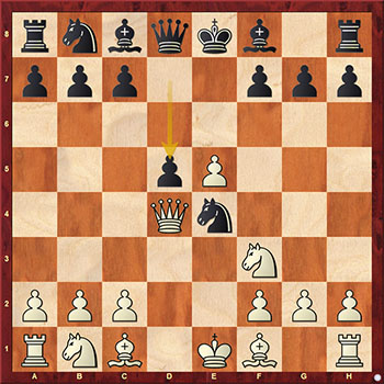 Битое поле в шахматах