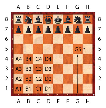 Где стоит король в шахматах?