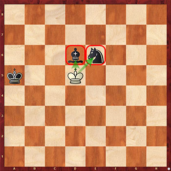 Диаграмма 8: Шахматная вилка королём