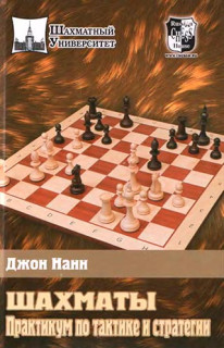 Шахматы. Практикум по тактике и стратегии