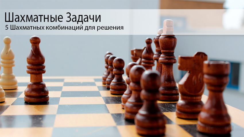 5 Шахматных комбинаций для решения