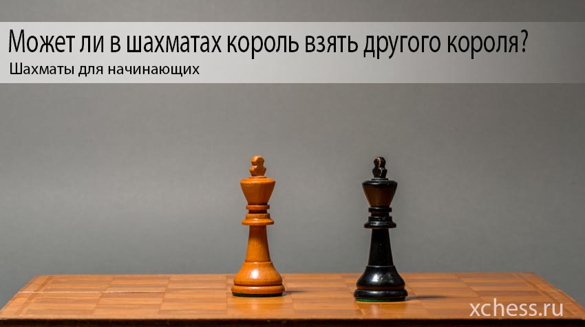 Правила игры в шахматы: полное руководство