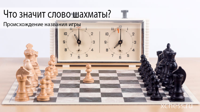 Что значит слово шахматы?