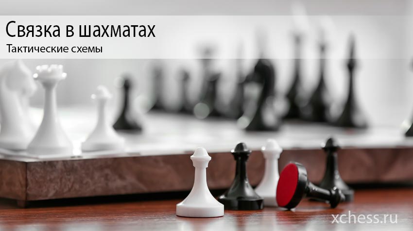 Связка в шахматах: Тактические схемы