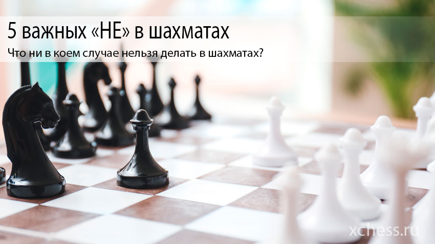 5 важных «НЕ» в шахматах