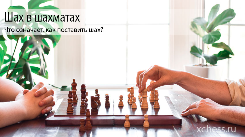 Шах в шахматах – что означает, как поставить шах?
