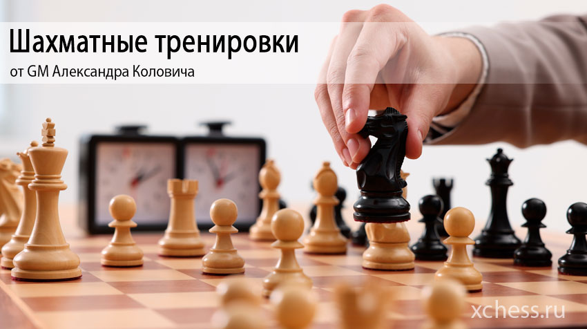 Шахматные тренировки от GM Александра Коловича