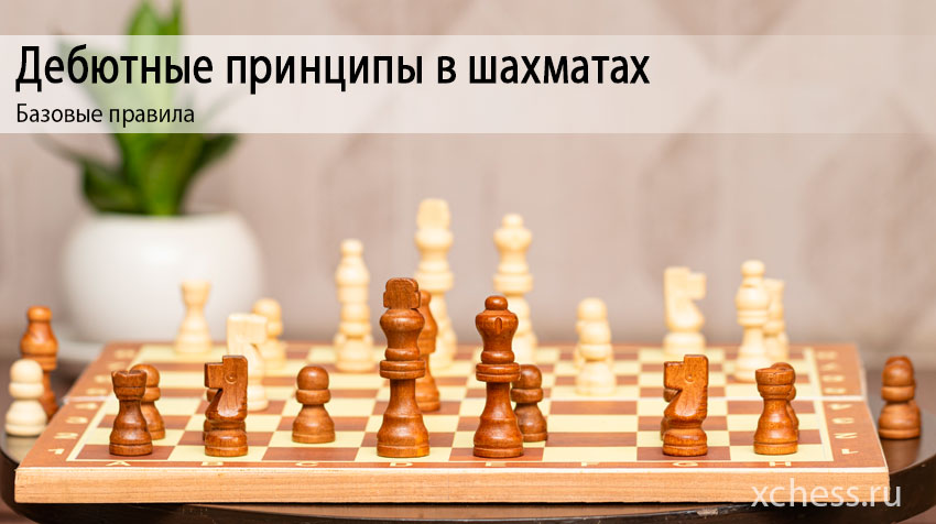 Дебютные принципы в шахматах