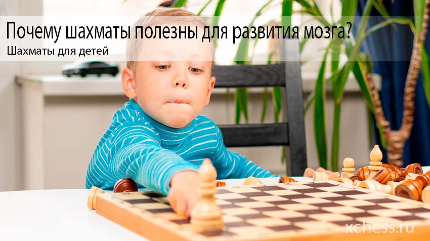 Почему шахматы полезны для развития мозга?