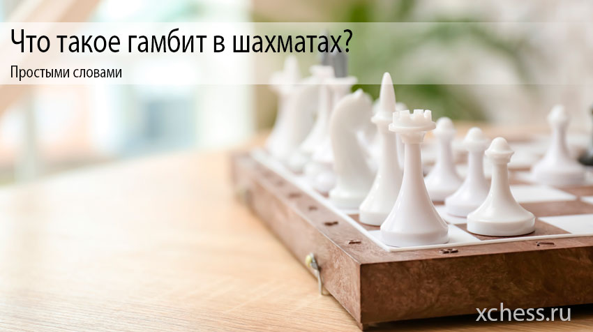 Что такое гамбит в шахматах простыми словами?